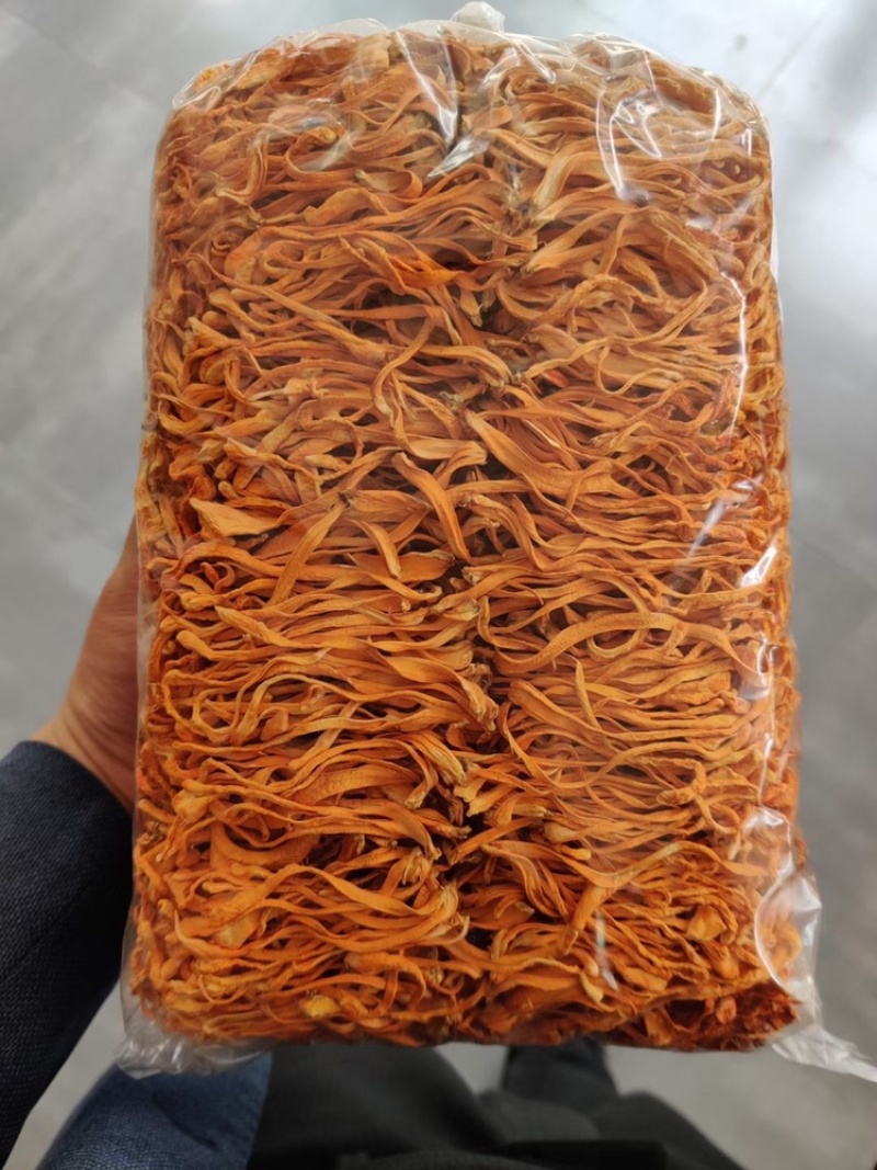 金虫草素菜(虫草素价格多少钱一盒) 金虫草素菜(虫草素价格多少钱一盒)