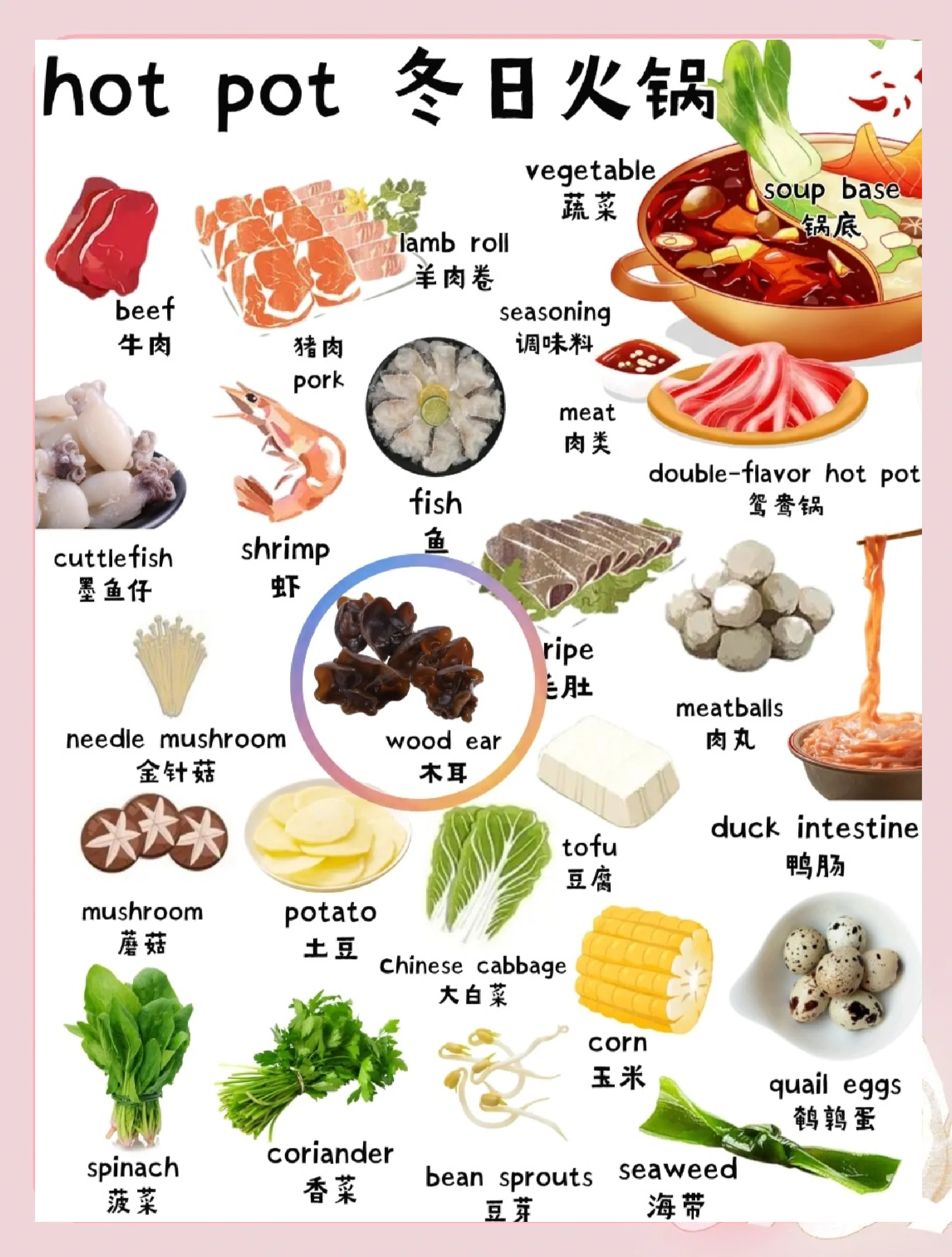 饺子的特色菜的英文(饺子的特色菜的英文单词)