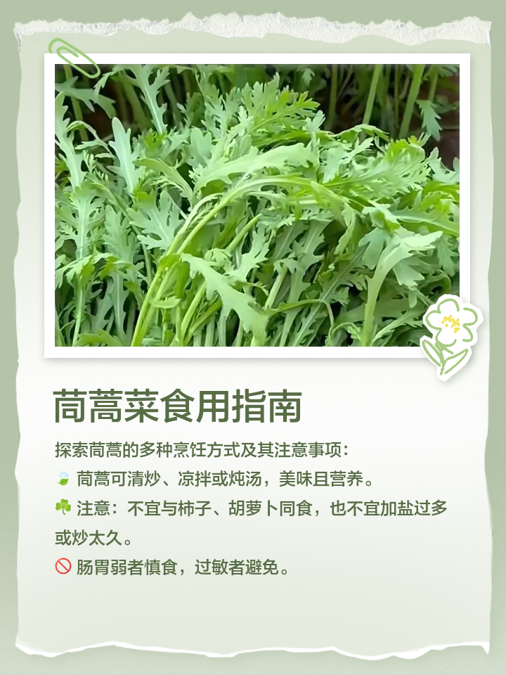 素菜茼蒿的做法大全(素抄茼蒿) 素菜茼蒿的做法大全(素抄茼蒿)