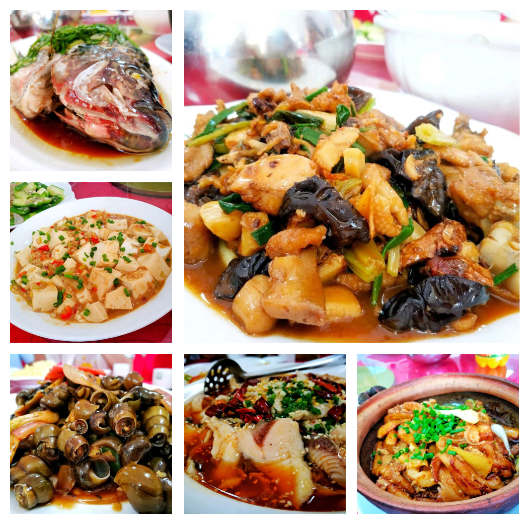 特色农家菜肴制作(特色农家菜肴100味) 特色农家菜肴制作(特色农家菜肴100味)