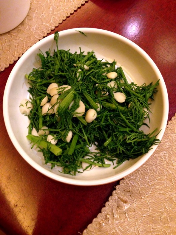 豆子茴香凉菜(豆子茴香凉菜怎么做)