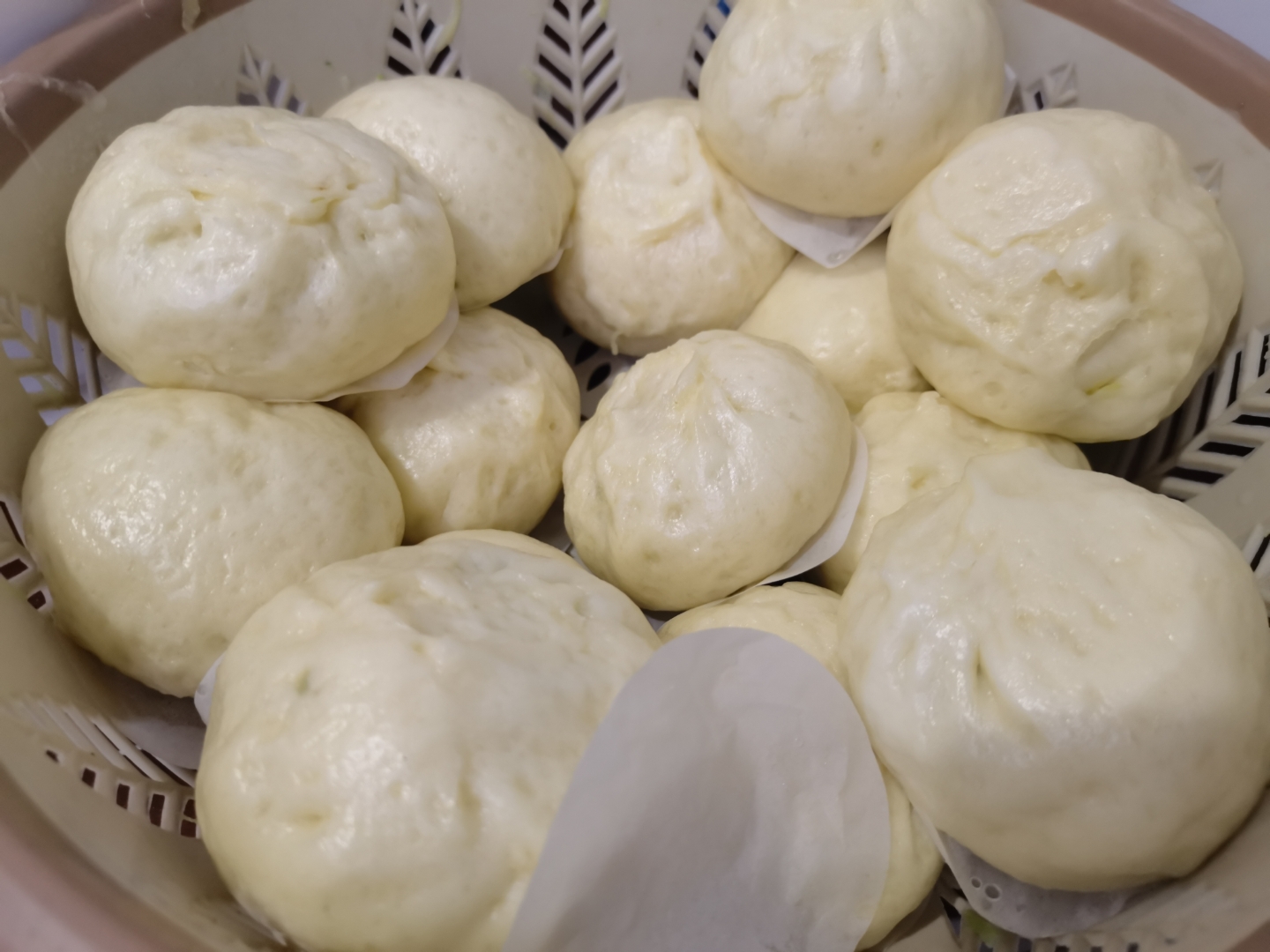 萝卜丝素菜包子(萝卜丝素包子的做法大全)