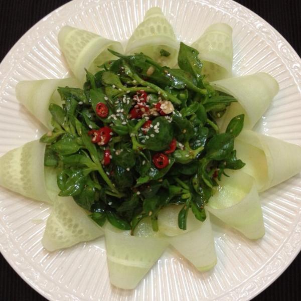 田七咋做凉菜(田七凉拌怎么做好吃) 田七咋做凉菜(田七凉拌怎么做好吃)