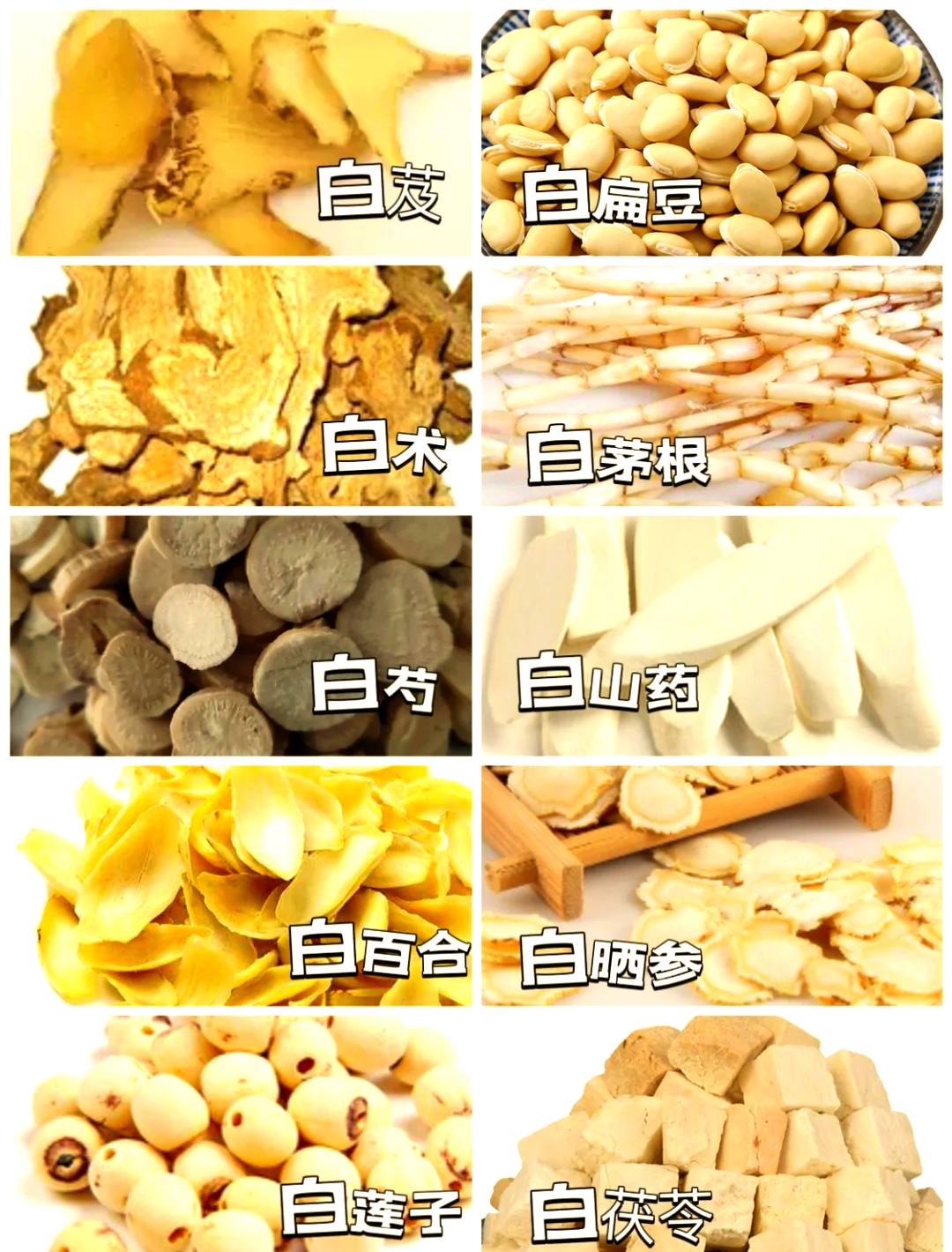 一种素菜叫白什么(一种蔬菜叫白什么) 一种素菜叫白什么(一种蔬菜叫白什么)