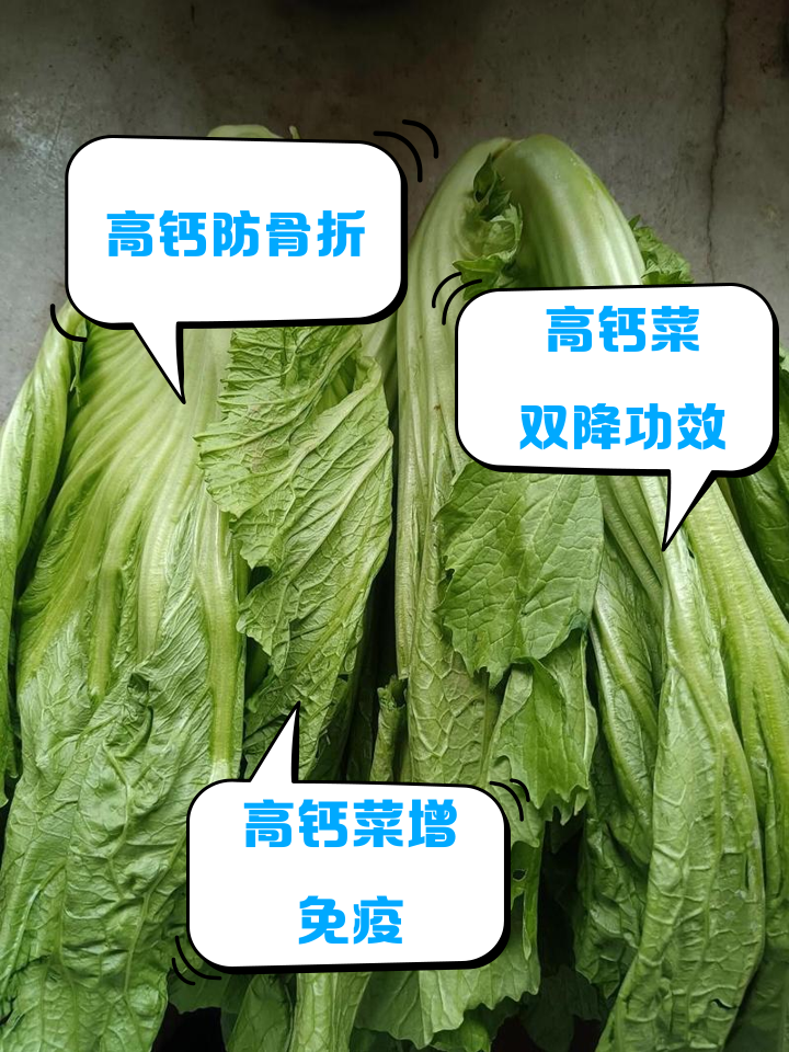 素菜那些补钙(什么素菜可以补钙的) 素菜那些补钙(什么素菜可以补钙的)