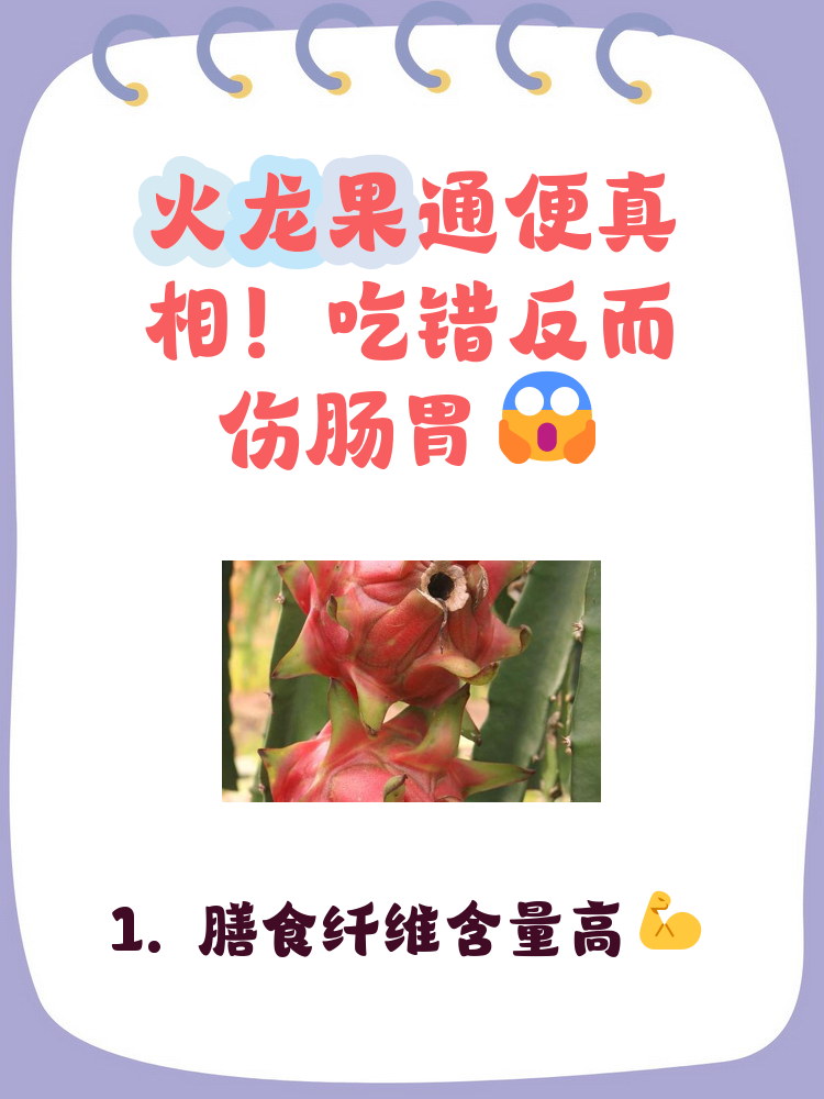 火龙果可以当早餐吗(火龙果可以当早餐吗)