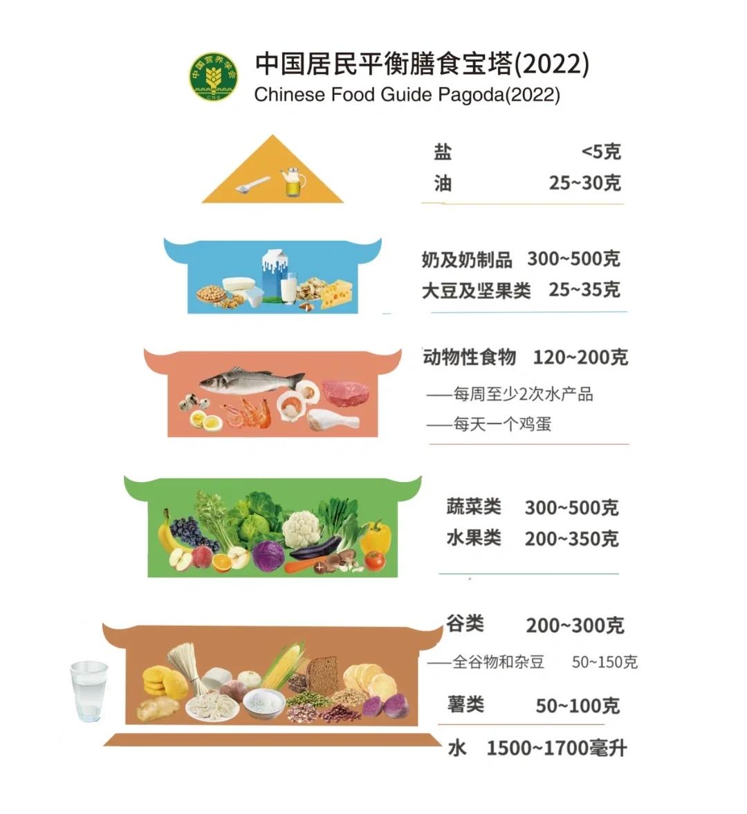 荤菜与素菜什么分(荤菜和素菜怎么区分)