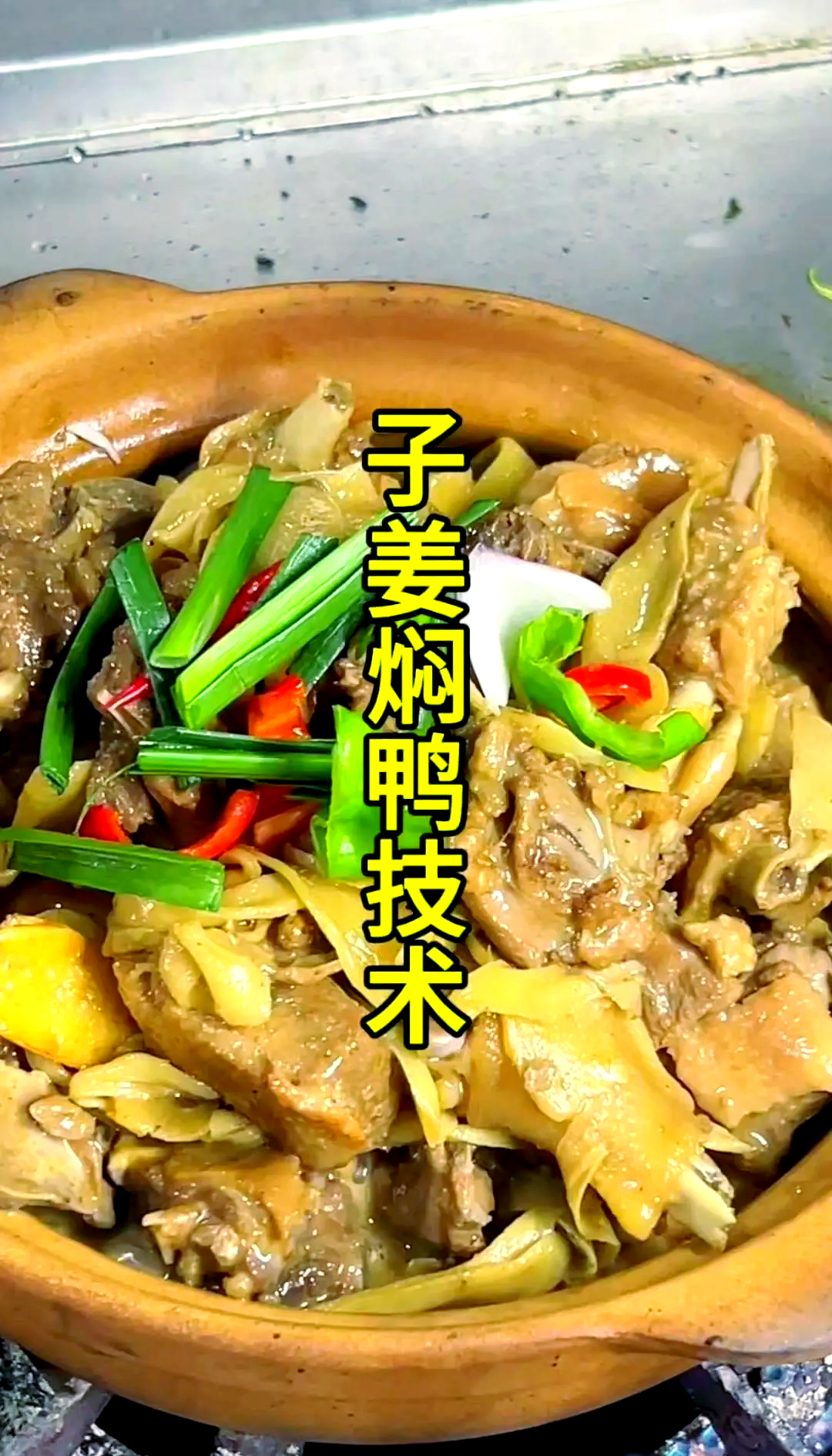 鸭肉做法大全家常(鸭肉最正宗的做法) 鸭肉做法大全家常(鸭肉最正宗的做法)