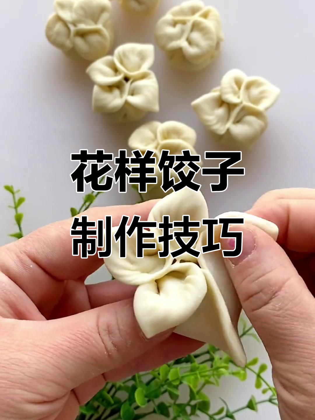 特色花样饺子的做法(各种花样饺子的做法) 特色花样饺子的做法(各种花样饺子的做法)