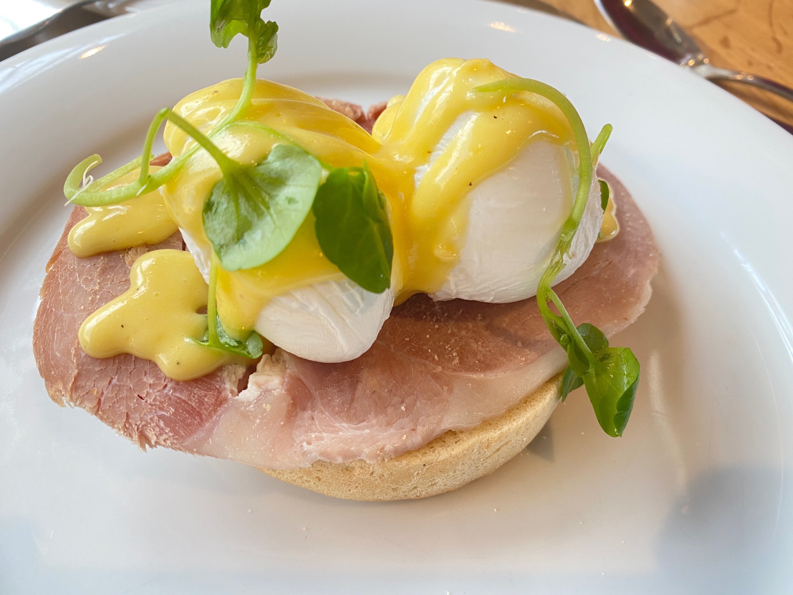 国外特色蛋吃法(国外的早餐蛋怎么做的)