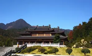 哪些素菜大大的(素菜还有什么菜) 哪些素菜大大的(素菜还有什么菜)