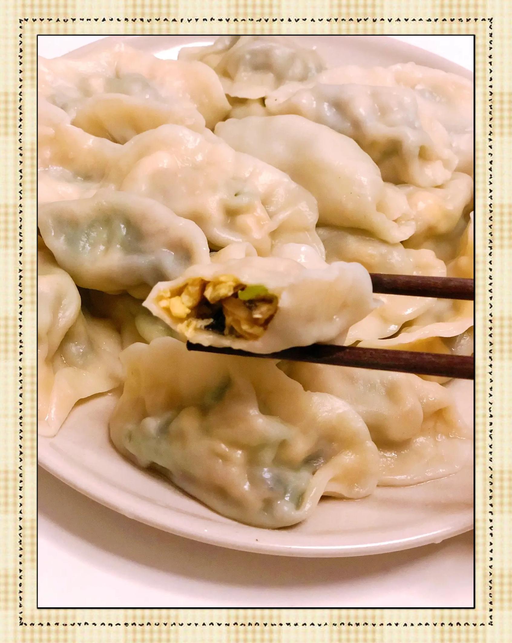 素菜的饺子哪个好吃(素菜的饺子哪个好吃一点)