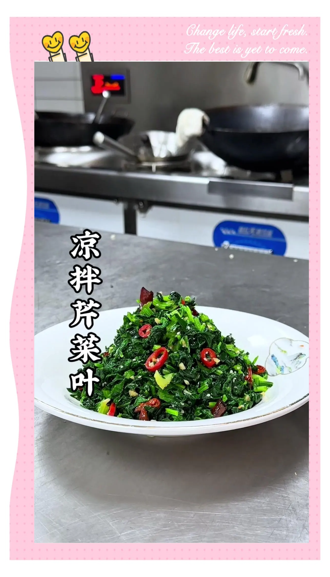 凉菜中圆圆叶子(凉菜上点缀用的叶子都有哪些?) 凉菜中圆圆叶子(凉菜上点缀用的叶子都有哪些?)