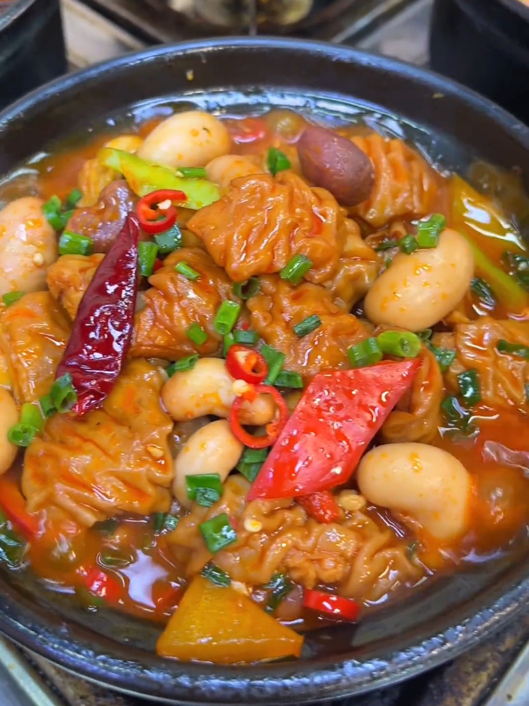 东北沙锅特色菜(东北砂锅的做法大全集)