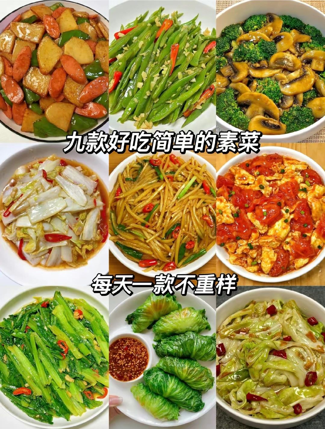 素菜的菜谱大全(素菜的菜谱大全图片)