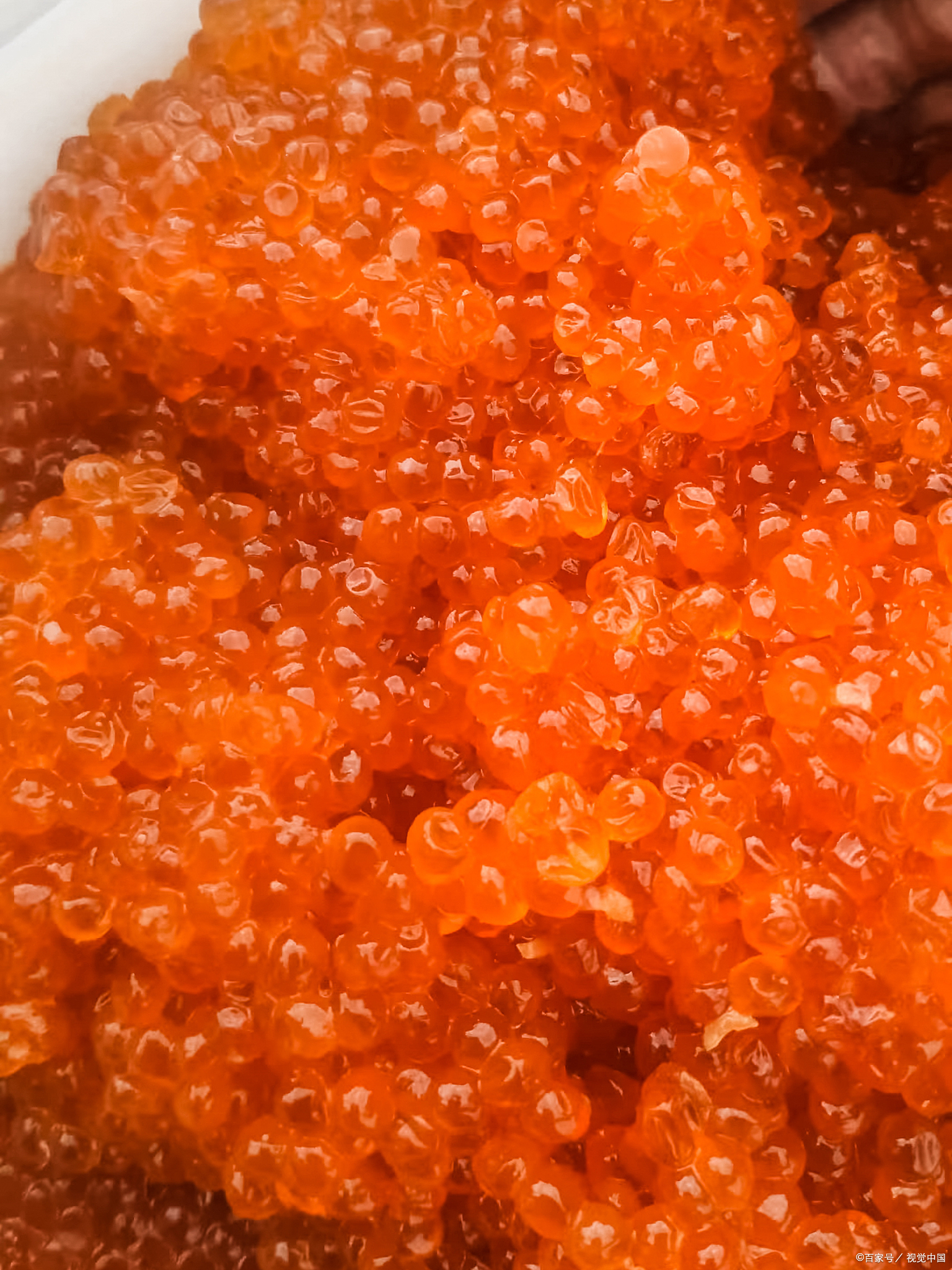 干鱼籽的做法大全家常(干的鱼籽怎么做好吃视频)