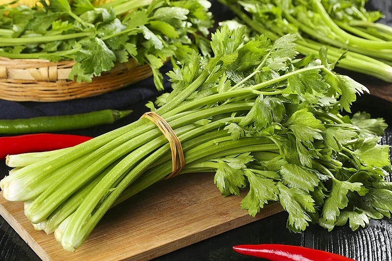 感冒了吃什么素菜好(感冒了吃什么蔬菜好) 感冒了吃什么素菜好(感冒了吃什么蔬菜好)