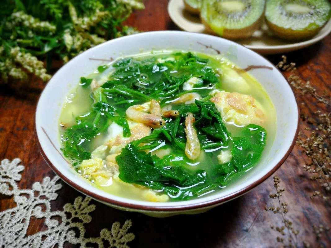 苜素菜菜谱大全(素苜蓿家常做法)