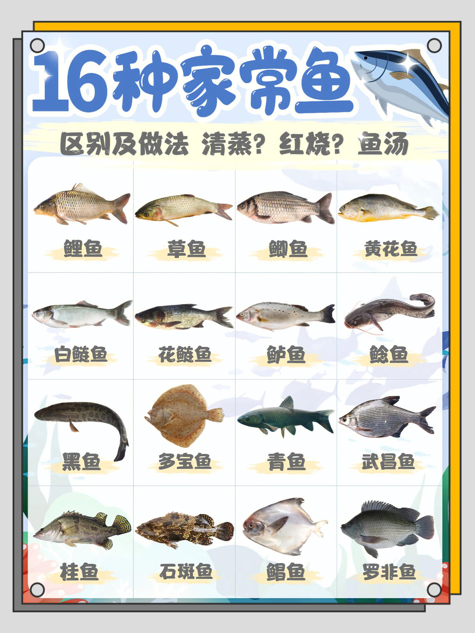 红烧水鱼的家常做法(鱼的做法酸菜鱼的做法) 红烧水鱼的家常做法(鱼的做法酸菜鱼的做法)