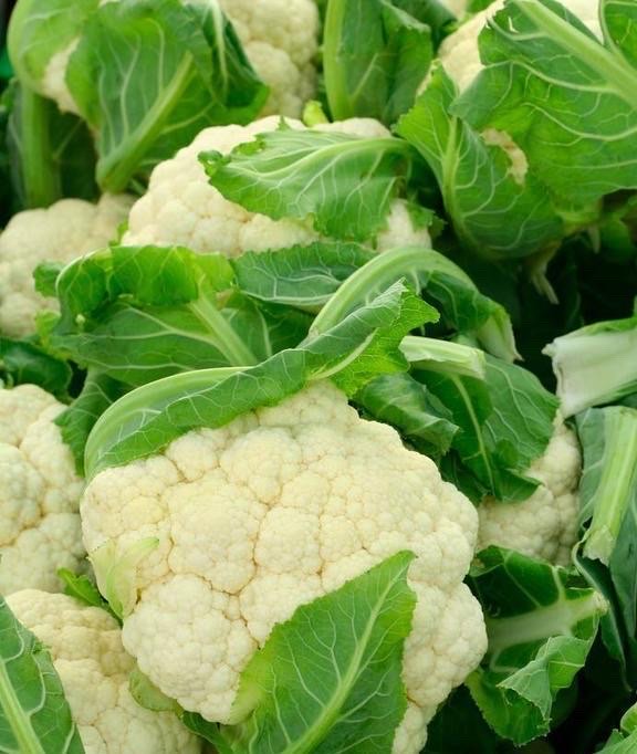 花菜素菜谱(花菜素炒怎么做好吃窍门)