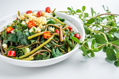 马榨菜凉菜做法(马榨菜包子的做法大全) 马榨菜凉菜做法(马榨菜包子的做法大全)