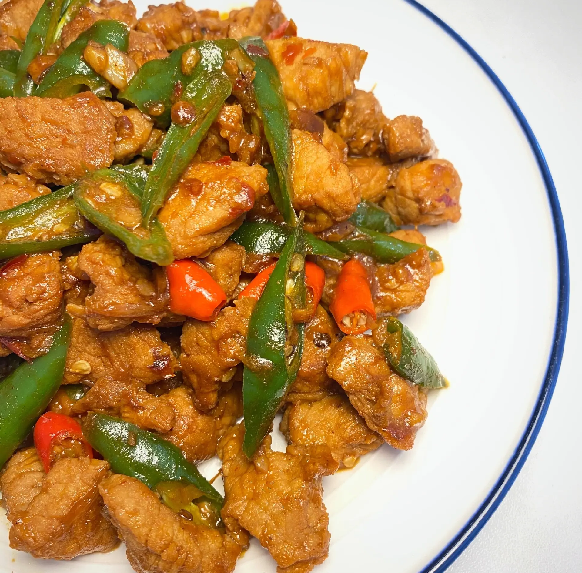 家常肉辣子(肉辣子的家常做法大全集) 家常肉辣子(肉辣子的家常做法大全集)