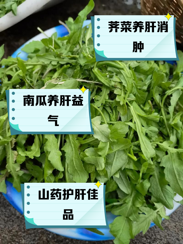 脂肪肝可以吃什么素菜(脂肪肝吃什么素菜最好的方法) 脂肪肝可以吃什么素菜(脂肪肝吃什么素菜最好的方法)