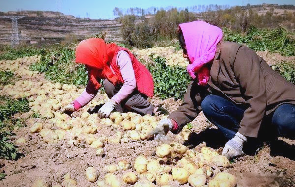海东小吃(海东小吃街哪里最出名) 海东小吃(海东小吃街哪里最出名)