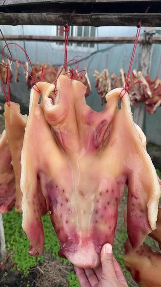 四川特色整猪风干(四川风吹猪肝做法) 四川特色整猪风干(四川风吹猪肝做法)