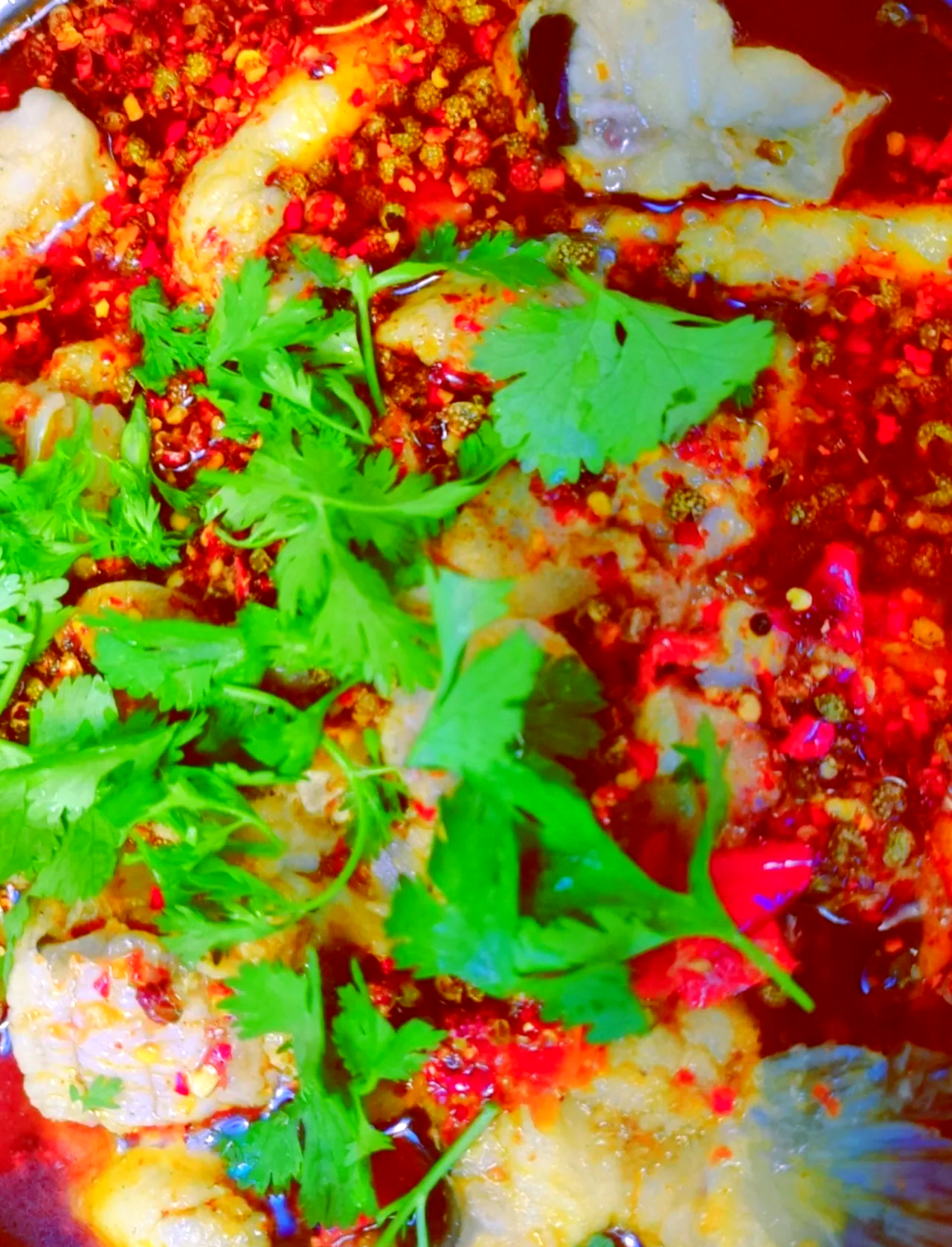 梭鱼做法大全家常(梭鱼的家常做法 好吃简单易学的视频) 梭鱼做法大全家常(梭鱼的家常做法 好吃简单易学的视频)