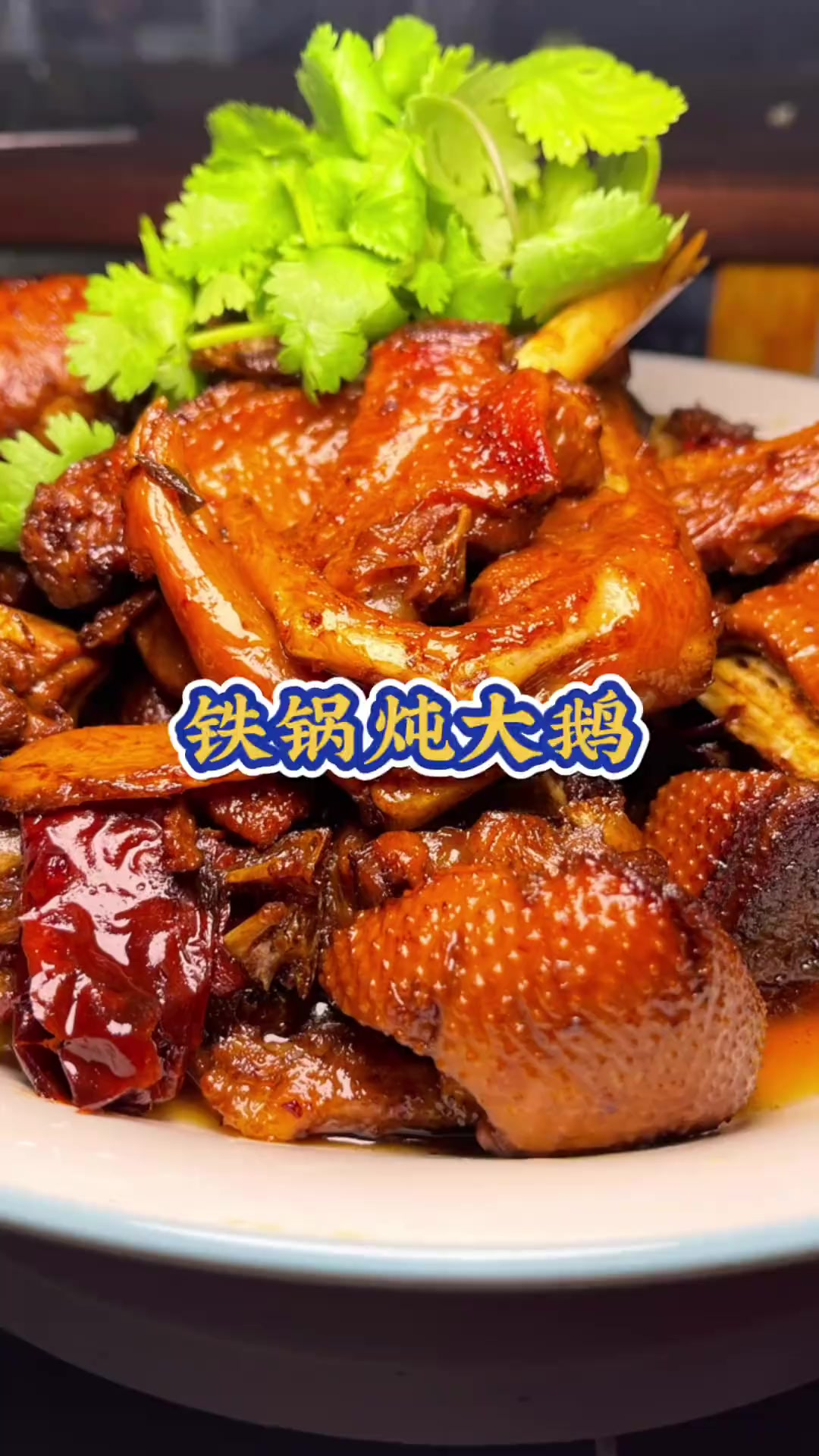 特色炖大鹅(特色炖大鹅的介绍怎么写) 特色炖大鹅(特色炖大鹅的介绍怎么写)