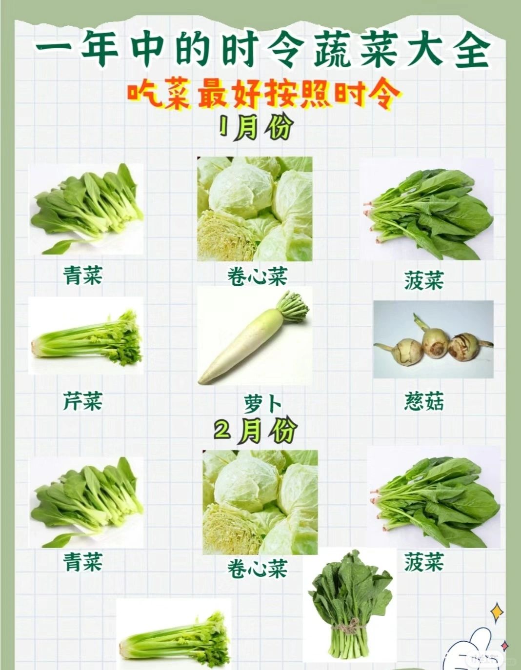 什么素菜是消化(那些蔬菜比较消化)