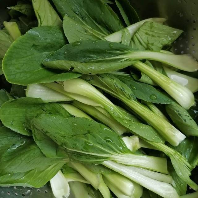 素菜青菜(青菜素菜有哪些) 素菜青菜(青菜素菜有哪些)