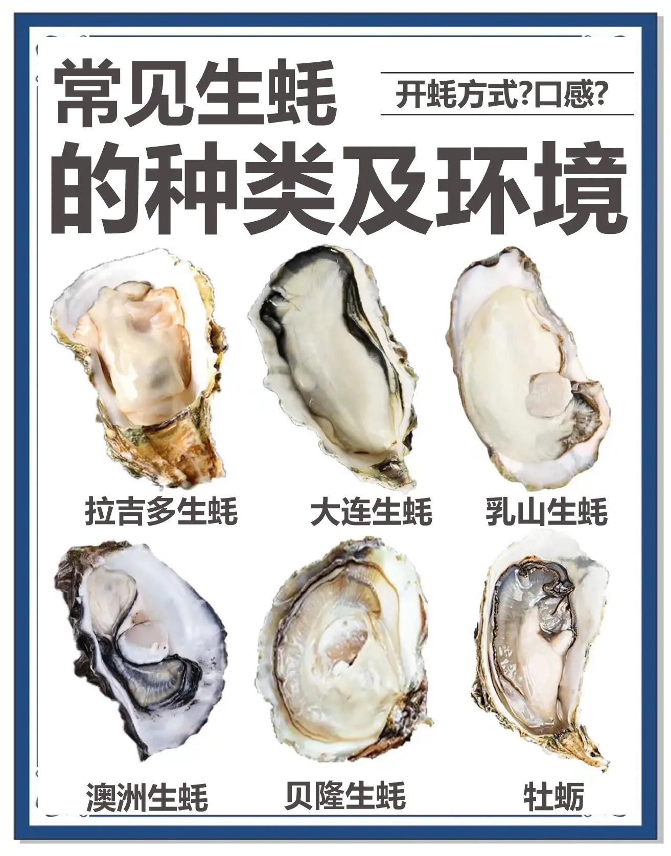 蚝是素菜吗(蚝属于斋菜吗) 蚝是素菜吗(蚝属于斋菜吗)