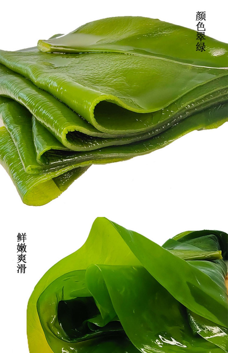 白菜海带丝凉菜(白菜海带丝凉拌的做法) 白菜海带丝凉菜(白菜海带丝凉拌的做法)