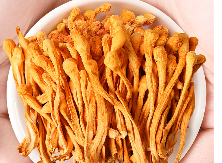 虫草菌菇凉菜(虫草菌菇的吃法) 虫草菌菇凉菜(虫草菌菇的吃法)