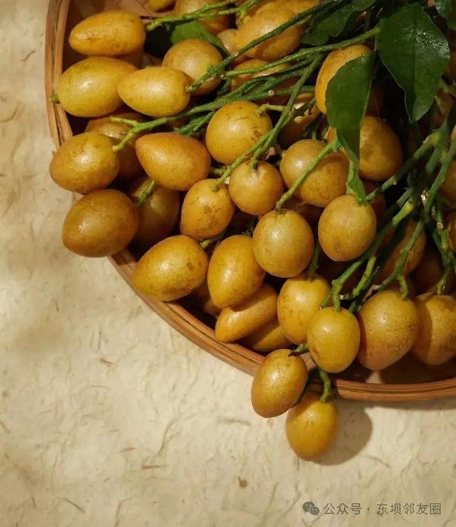 湖北黄皮有什么小吃(黄皮哪里产是正宗)