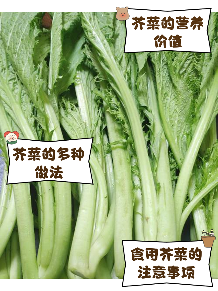 芥菜馅儿素菜的做法(芥菜馅儿素菜的做法视频) 芥菜馅儿素菜的做法(芥菜馅儿素菜的做法视频)