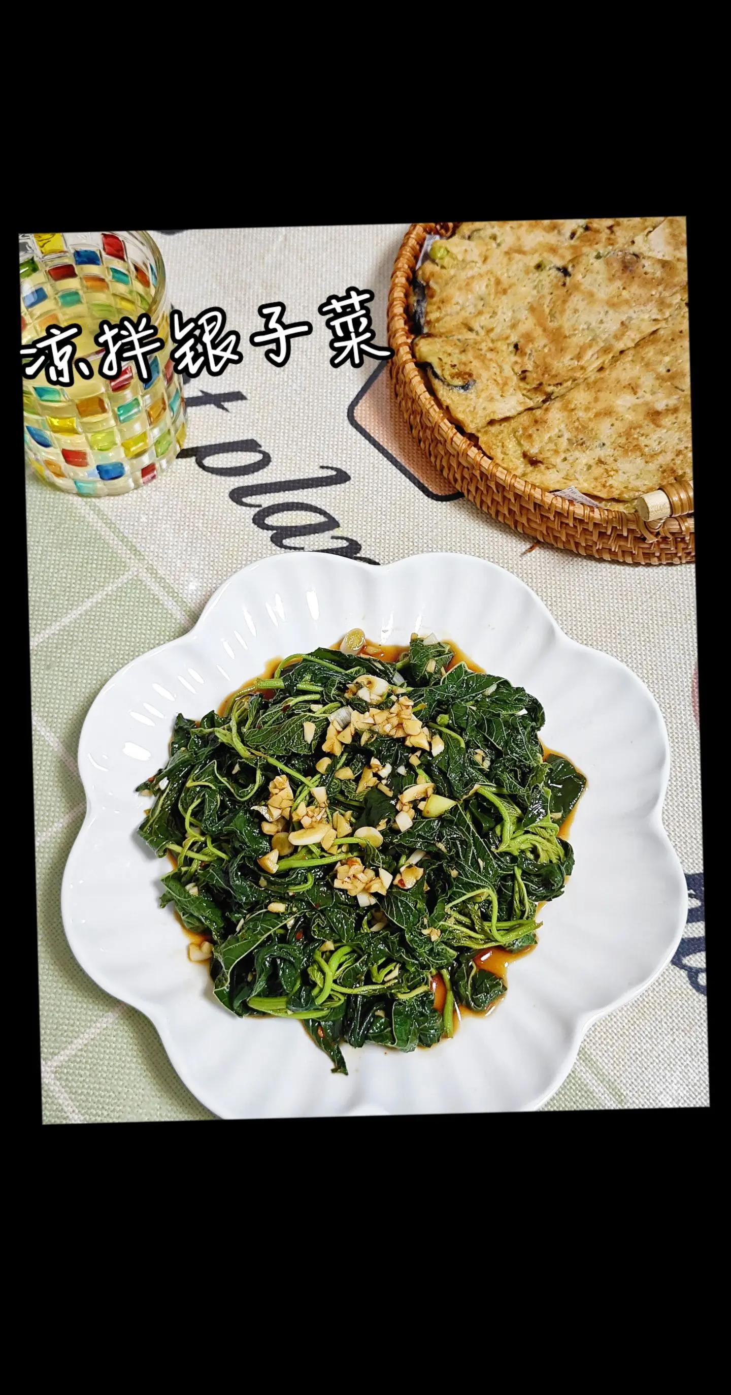 桑叶凉菜怎么(桑叶凉拌很好吃它有什么药用价值吗)