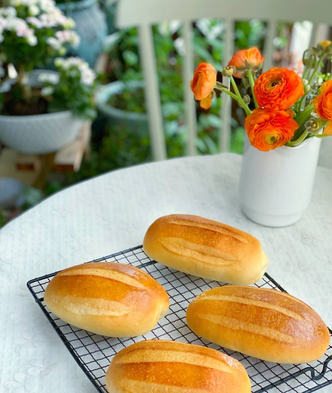 牛奶哈斯早餐(牛奶的100种吃法大全) 牛奶哈斯早餐(牛奶的100种吃法大全)