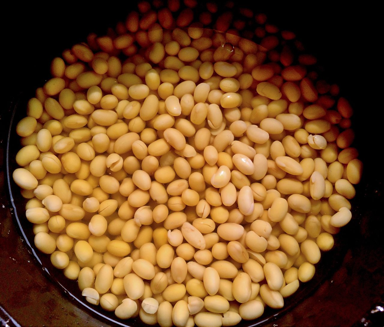 凉菜豆子(凉菜豆制品大全) 凉菜豆子(凉菜豆制品大全)