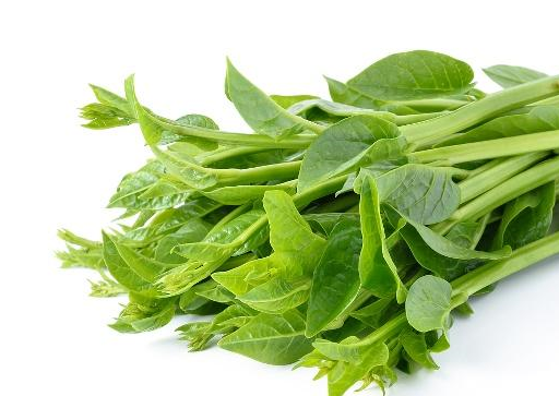 孕妈素菜(孕妇爱吃的素菜) 孕妈素菜(孕妇爱吃的素菜)