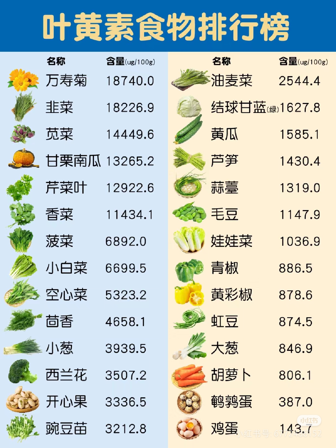 素菜的菜名有哪些(素菜大全菜名大全窍门)