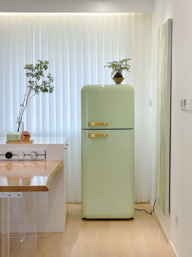 有特色的冰箱(你推荐几款冰箱) 有特色的冰箱(你推荐几款冰箱)