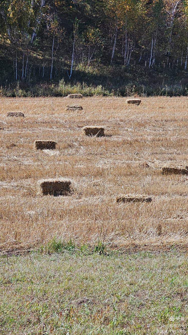 秋季特色(秋季特色美食) 秋季特色(秋季特色美食)