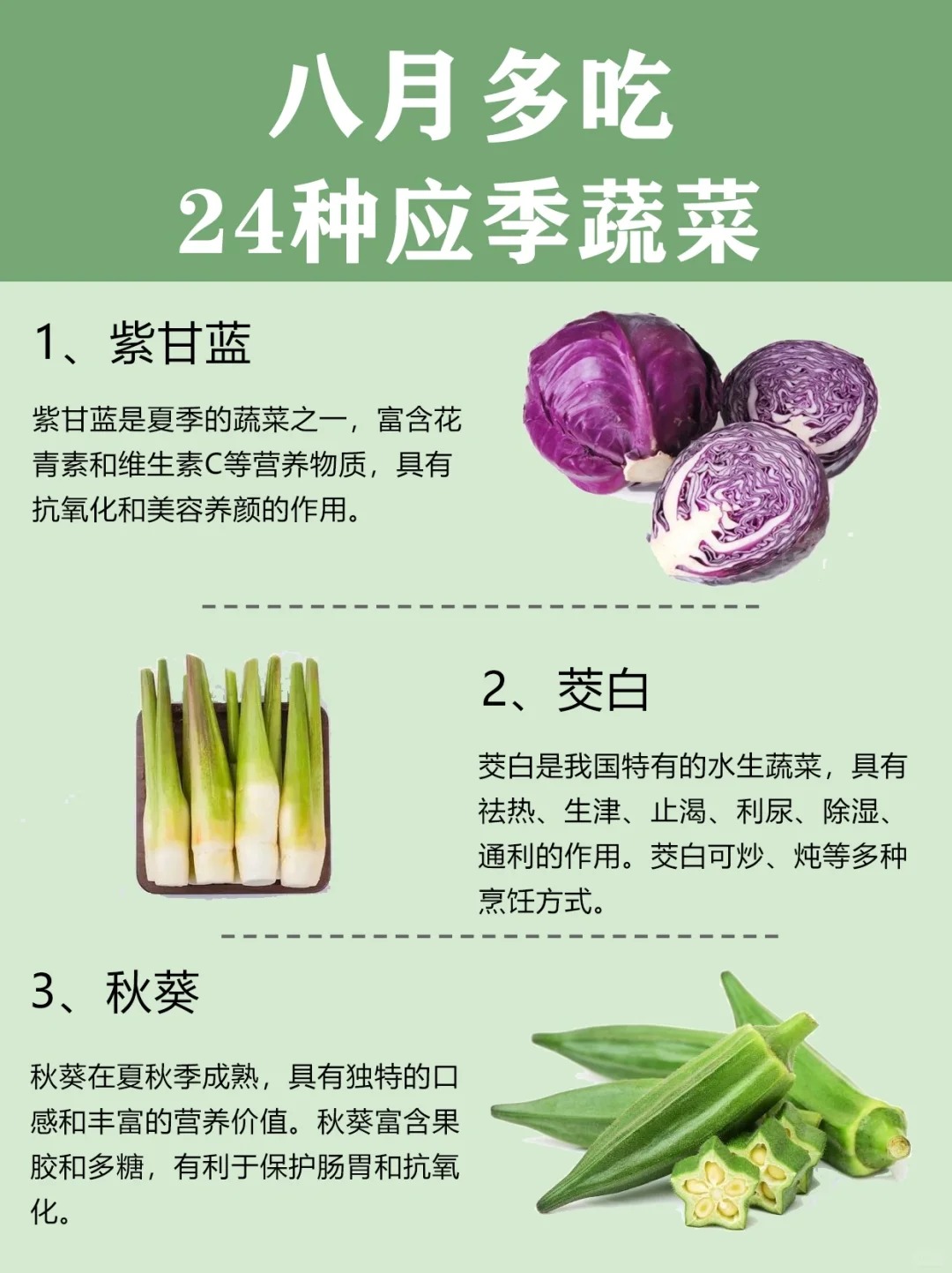 素菜分的种类(素菜的种类图片大全) 素菜分的种类(素菜的种类图片大全)