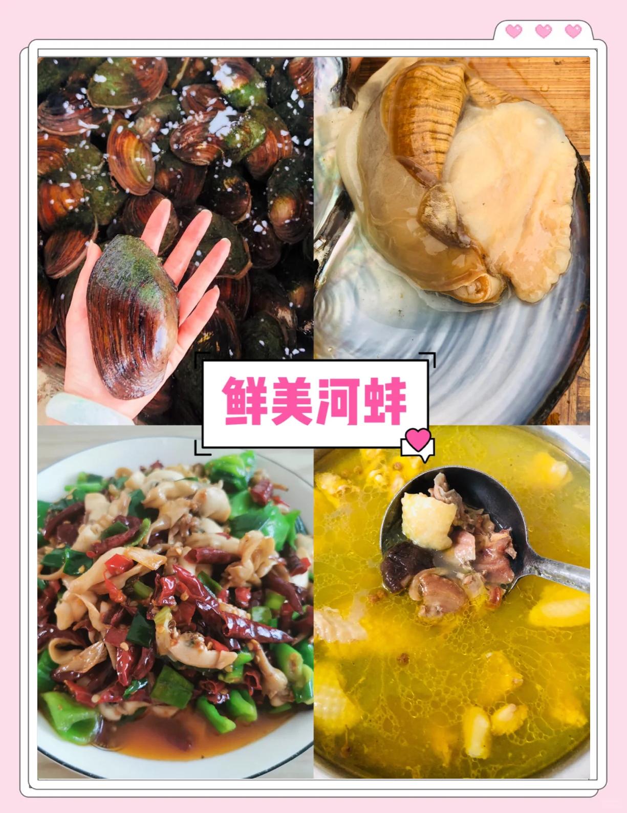 海蚌的做法大全家常(海蚌的做法大全家常菜窍门) 海蚌的做法大全家常(海蚌的做法大全家常菜窍门)