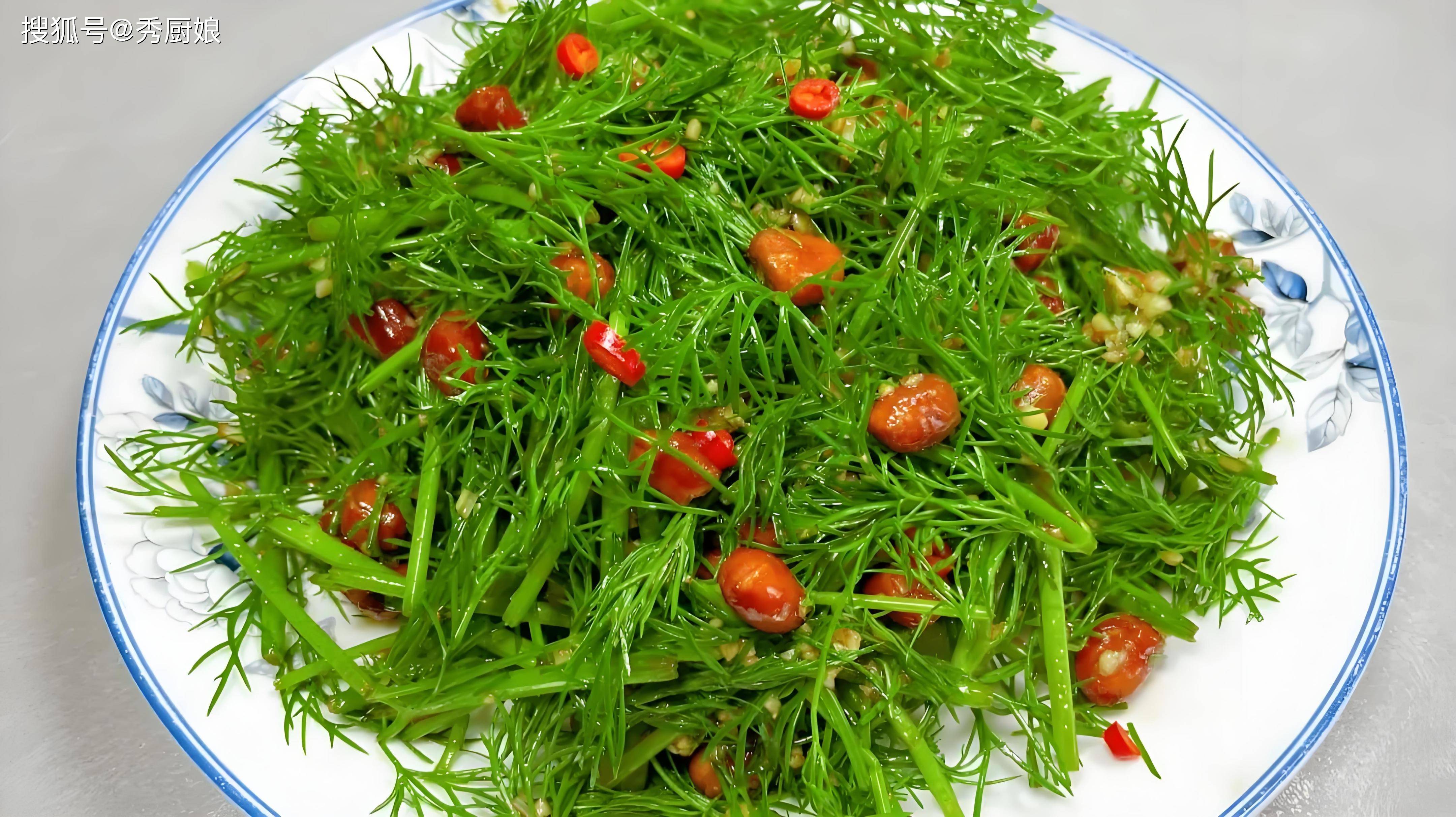 凉菜茴香苗做法(茴香苗凉拌怎么做好吃) 凉菜茴香苗做法(茴香苗凉拌怎么做好吃)