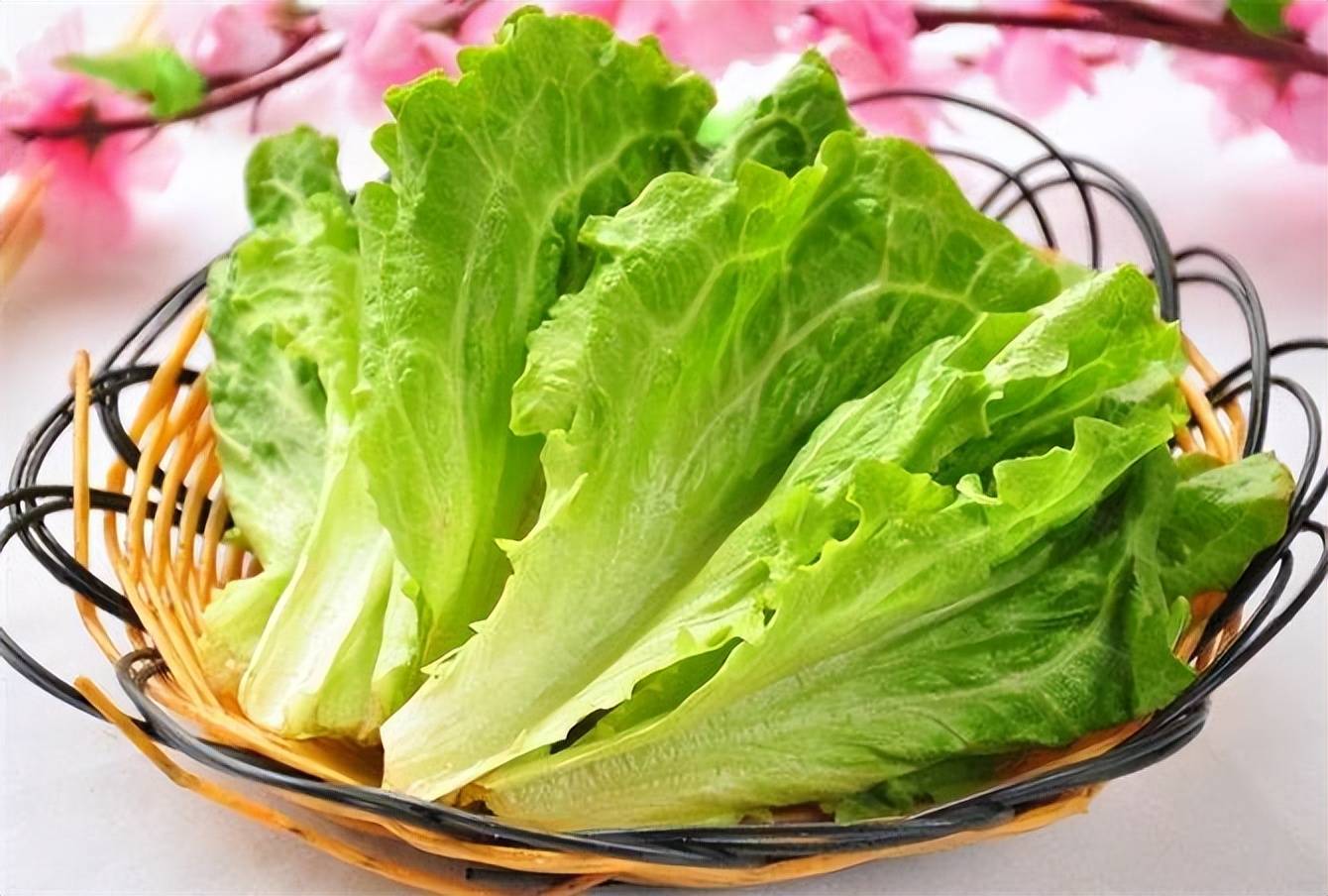 可以生吃的素菜有哪些(可以生吃的蔬菜知乎) 可以生吃的素菜有哪些(可以生吃的蔬菜知乎)