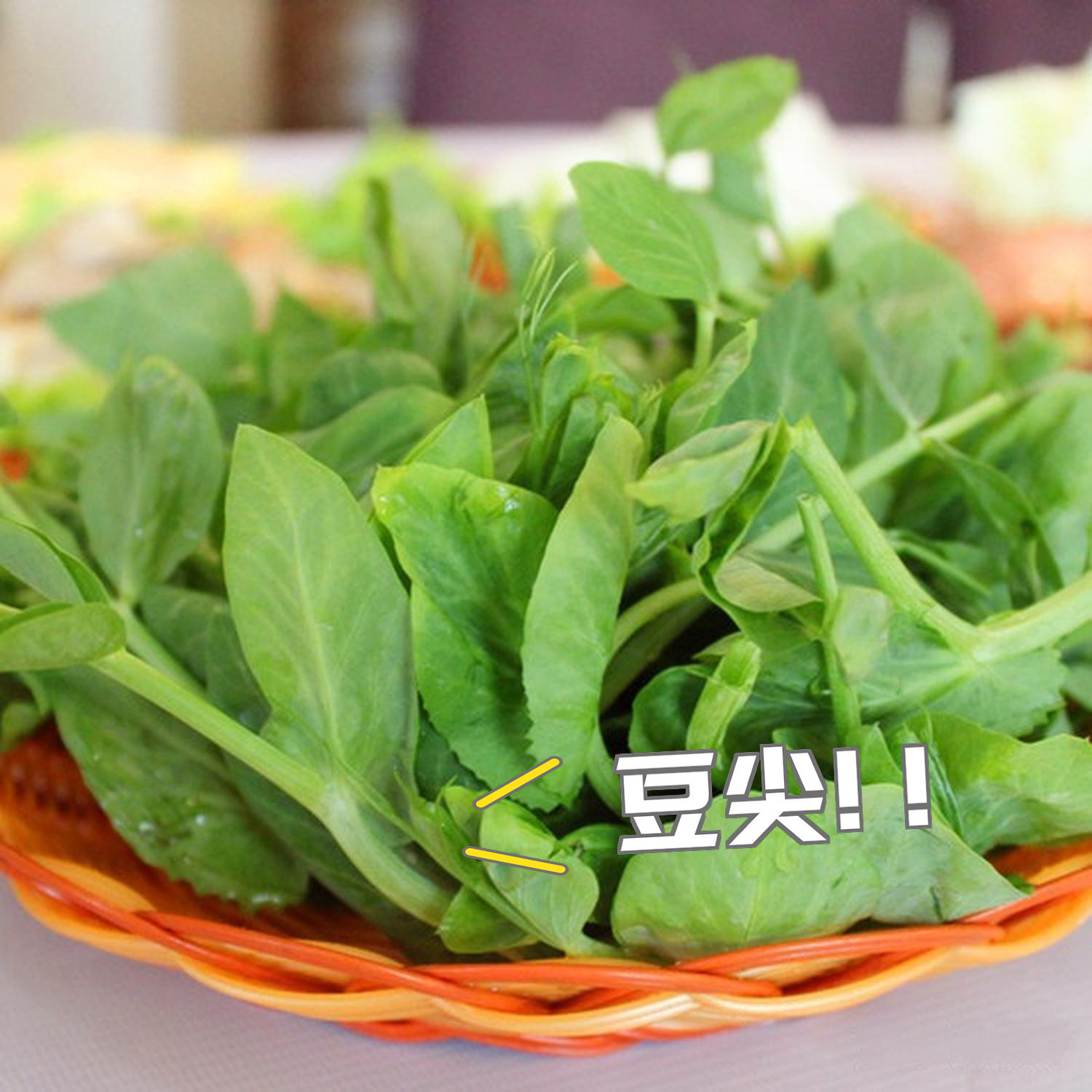 有种奶香味的素菜(有奶香味的药材)